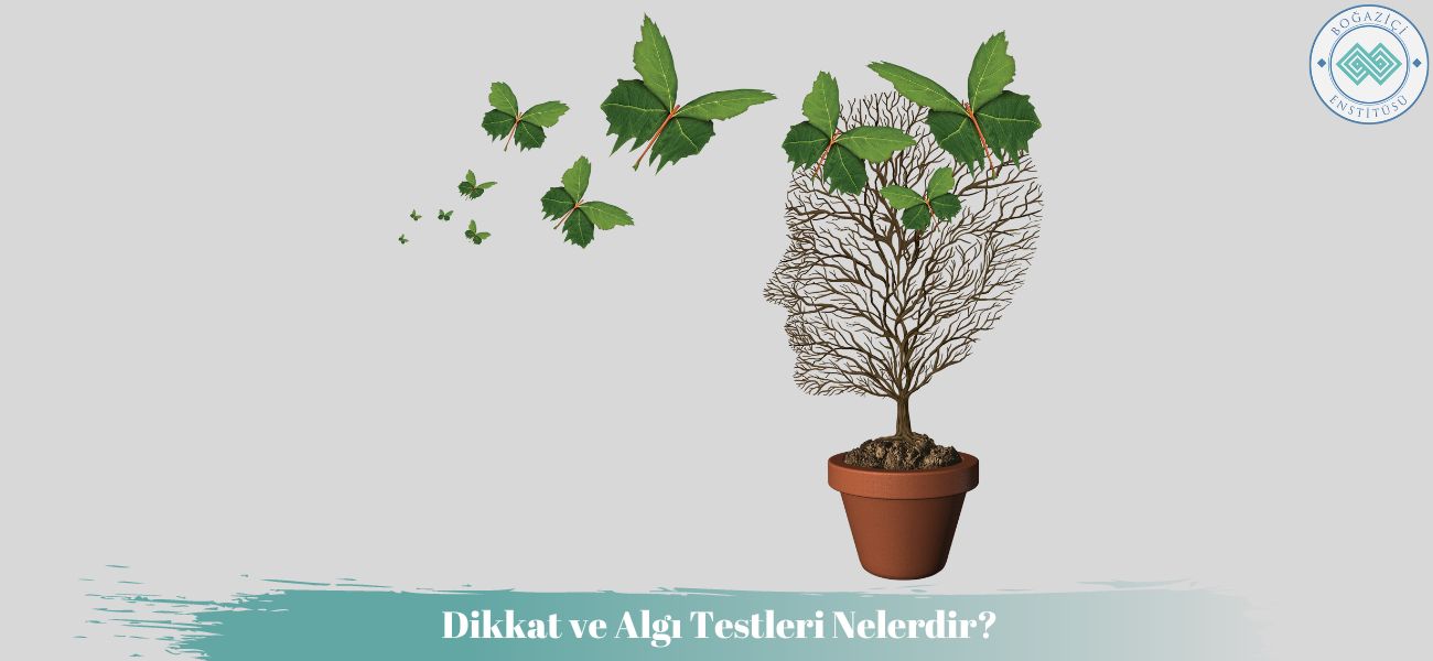 Dikkat ve Algı Testleri Nelerdir? Dikkat ve Algı Testleri Nelerdir?