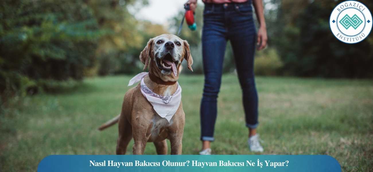 Nasıl Hayvan Bakıcısı Olunur? Hayvan Bakıcısı Ne İş Yapar? Nasıl Hayvan Bakıcısı Olunur? Hayvan Bakıcısı Ne İş Yapar?