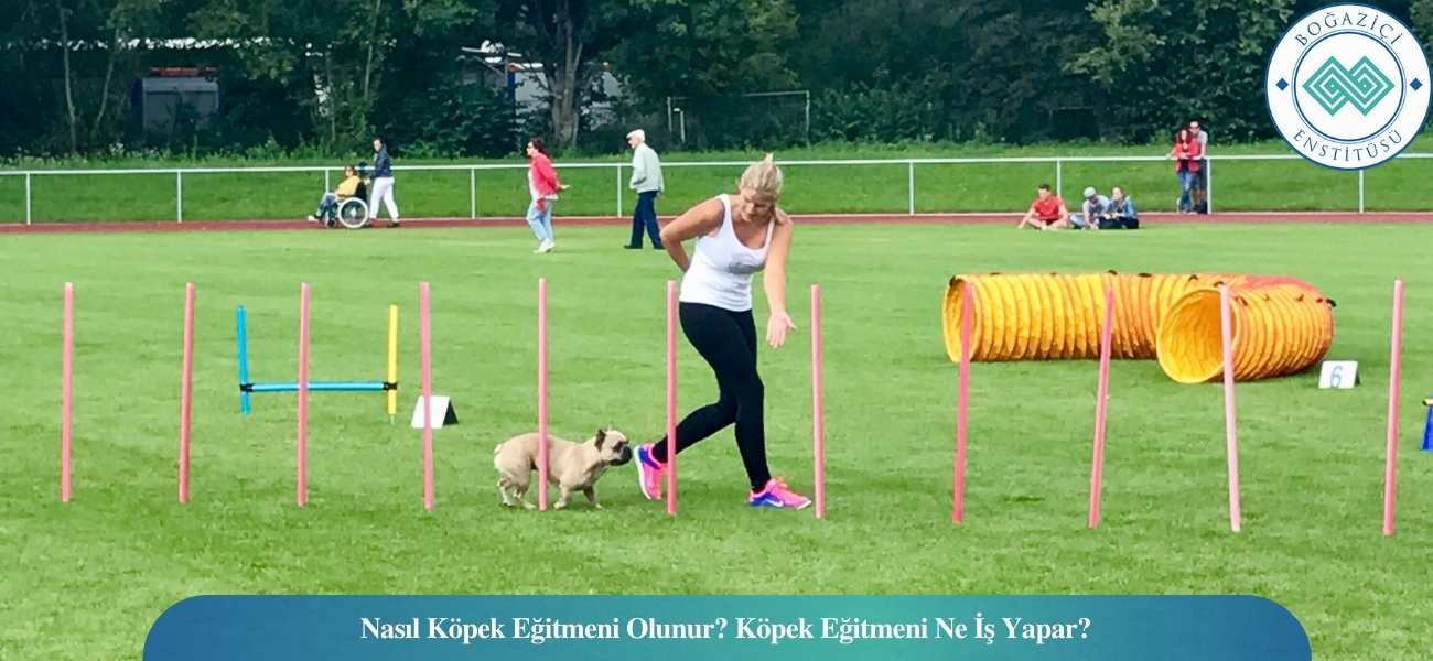 Nasıl Köpek Eğitmeni Olunur? Köpek Eğitmeni Ne İş Yapar? Nasıl Köpek Eğitmeni Olunur? Köpek Eğitmeni Ne İş Yapar?