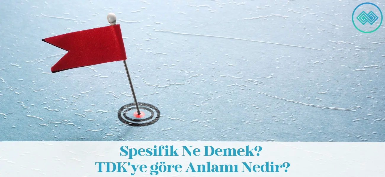 Spesifik Ne Demek? TDK'ye göre Anlamı Nedir?