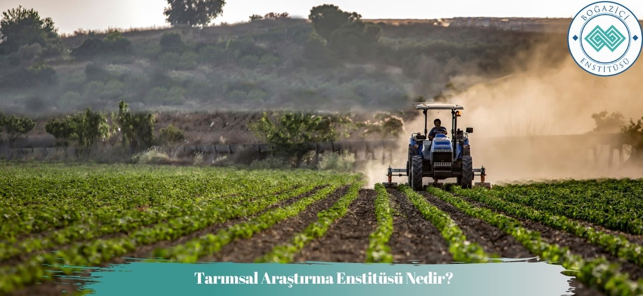 Tarımsal Araştırma Enstitüsü Nedir? Tarımsal Araştırma Enstitüsü Nedir?
