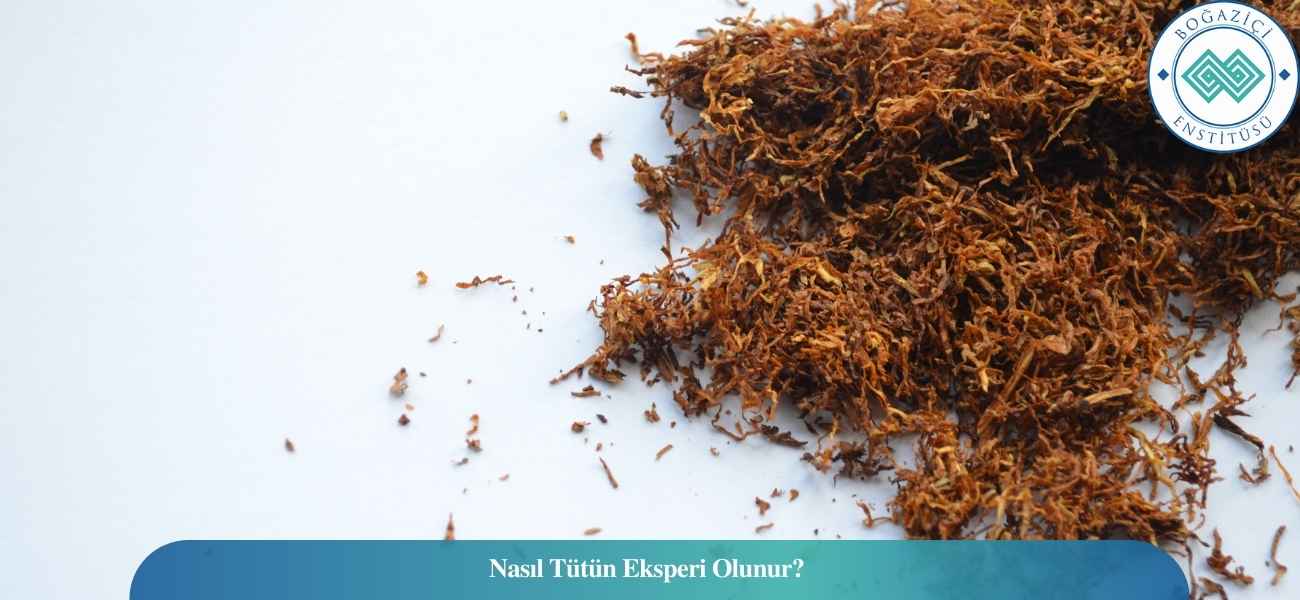 Nasıl Tütün Eksperi Olunur? Tütün Eksperi Ne İş Yapar? Nasıl Tütün Eksperi Olunur? Tütün Eksperi Ne İş Yapar?
