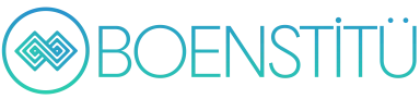 Boenstitü Logo