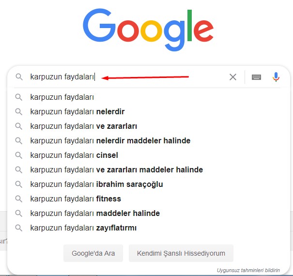 karpuzun faydaları