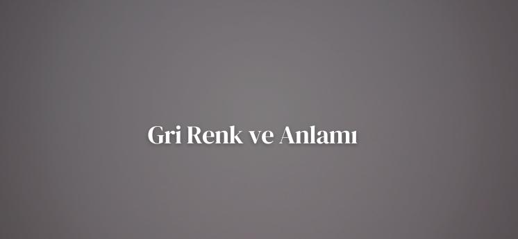 renklerin anlamı gri