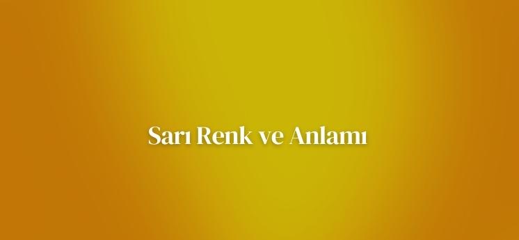 renklerin anlamları sarı