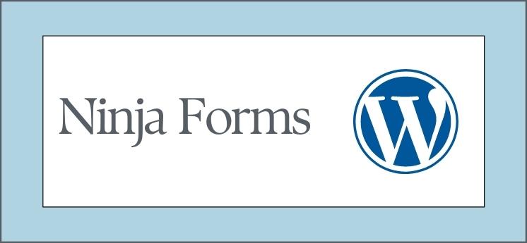 Ninja Forms en iyi wordpress eklentileri