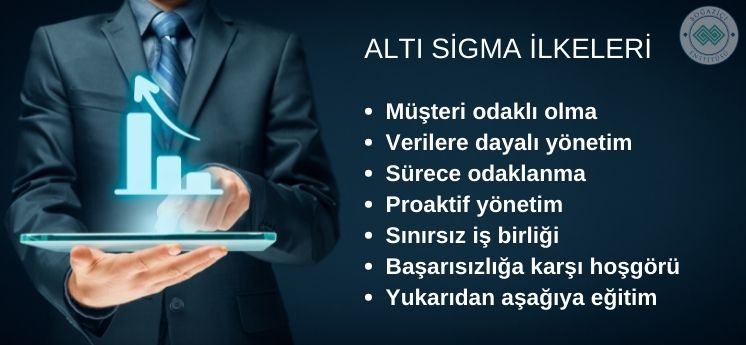 altı sigma ilkeleri