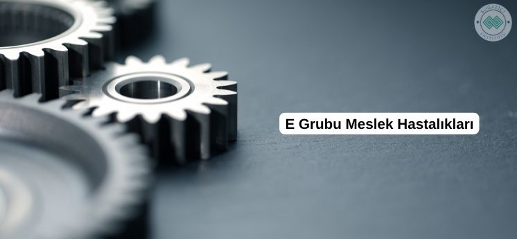 e grubu