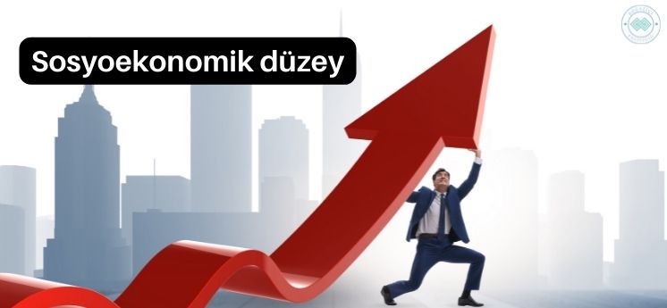 sosyoekonomik düzey