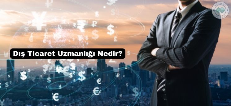 dış ticaret uzmanlığı nedir