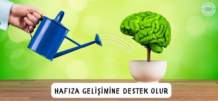 ingilizce öğrenmenin faydaları hafıza gelişimi