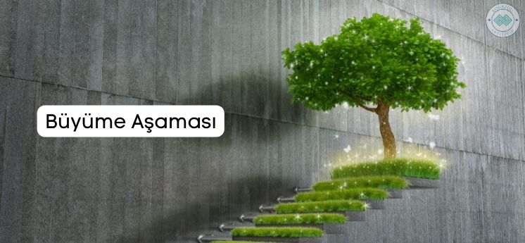 kişisel gelişim aşamaları büyüme