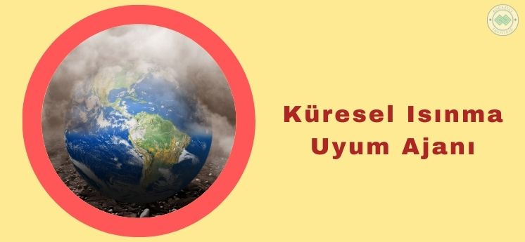 küresel ısınma uyum ajanı