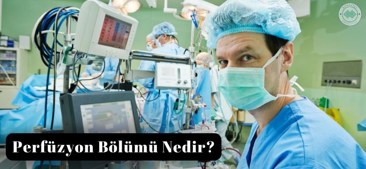 perfüzyon bölümü nedir