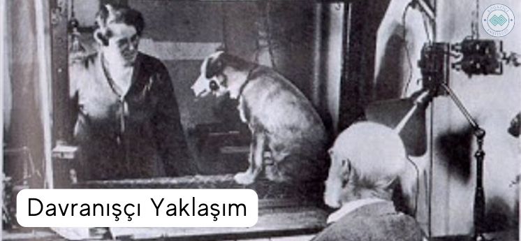 davranışçı yaklaşım