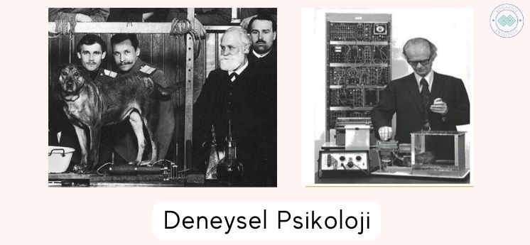 deneysel psikoloji