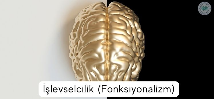 İşlevselcilik Fonksiyonalizm