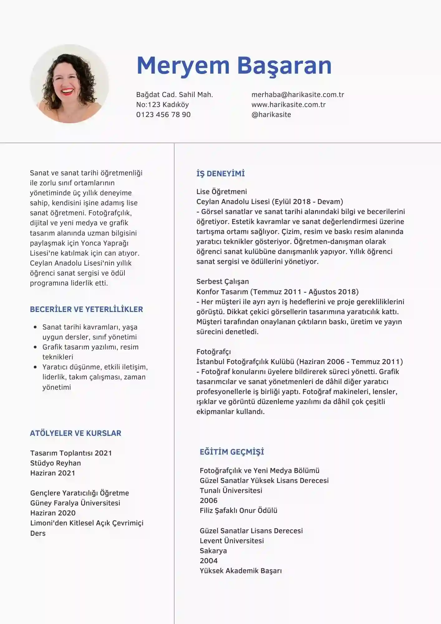 geleneksel cv örneği