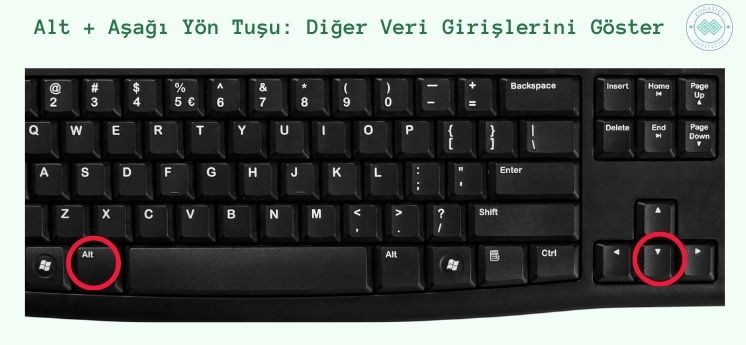 alt aşağı yön tuşu diğer veri girişlerini göster