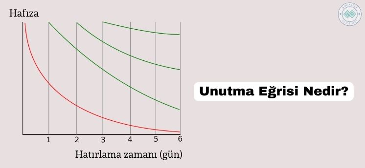 unutma eğrisi nedir