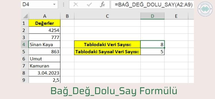 microsoft excel bağ değ dolu say formülü