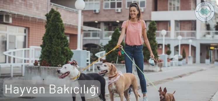 freelance yapılabilecek işler hayvan bakıcılığı