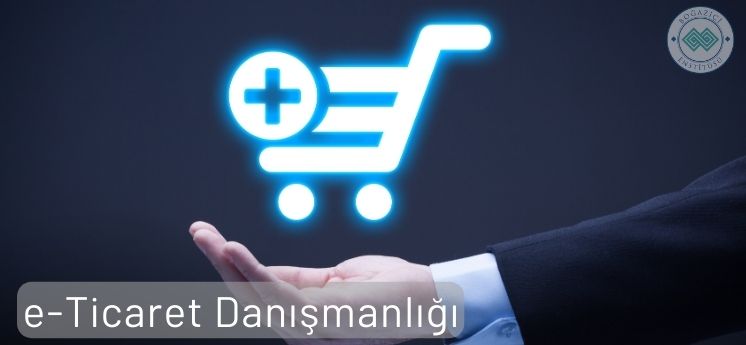 e ticaret danışmanlığı internette freelance yapılacak işler