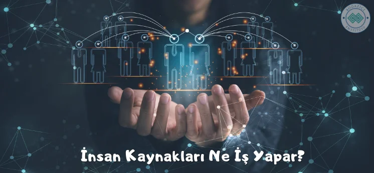 insan kaynakları ne iş yapar