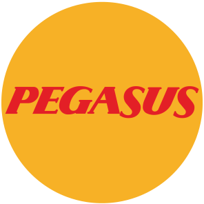 https://boenstitu.com/view/images/uploads/2025-05/kurum-logolar/pegasus20.png