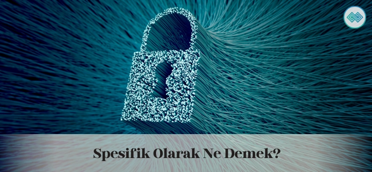 Spesifik Olarak Ne Demek?